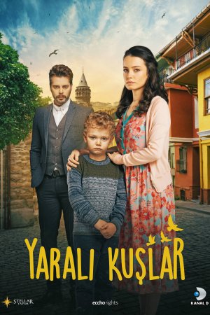 Раненые птицы постер