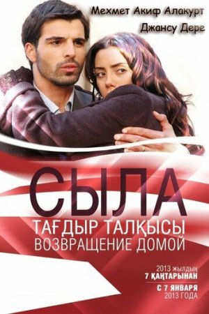 Сыла. Возвращение домой постер