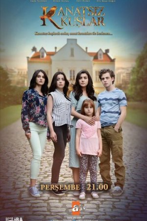Птицы без крыльев постер