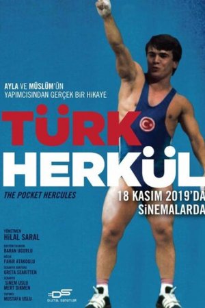 Турецкий Геркулес постер