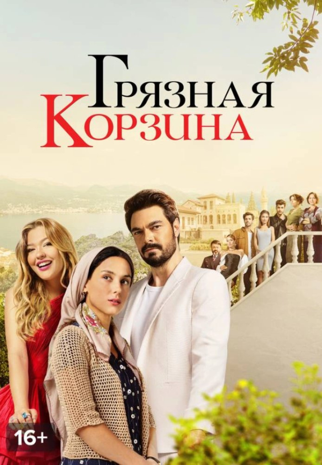 Грязная корзина постер